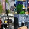 Mini Aquarium Water Purifier Ultra-quiet Fish Tank Sponge Filter Pumps  Increase Oxygen