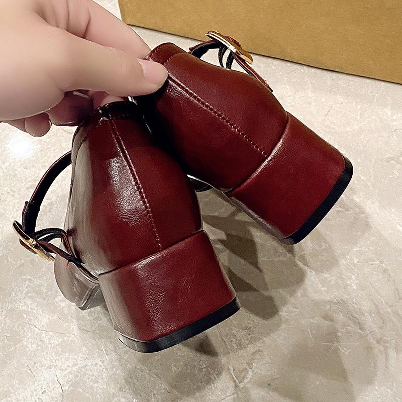 French silver small leather shoes women's 2026 new thick heel versatile gentle style with skirt square head Mary Jane single shoes