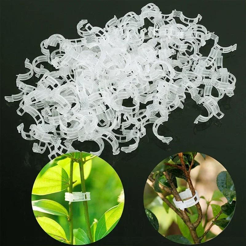 Hot Plant Clips Supports Reusable Plastic Connects Fixing Vine Tomato Stem Grafting Vegetable Plants Orchard and Garden Tools