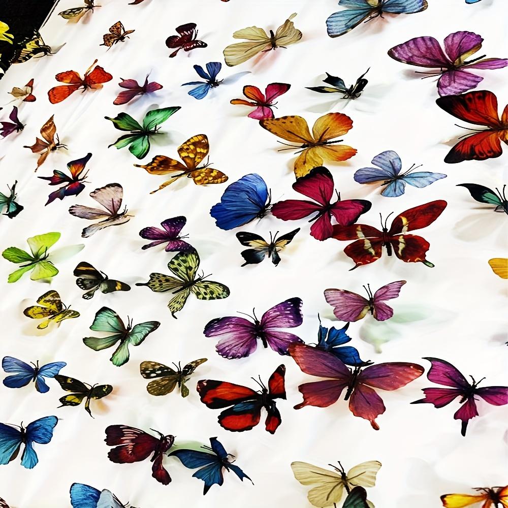 Взрывная бабочка — фото 3