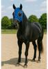 Breathable Mesh Face Mask Mosquito Repellent Horse Face Cover Adjustable Horse Face Mask Eye Protection Equestrian Activities