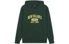 New Balance Sweatshirts Unisex Green Hooded Moderate Regular AMT31313-JUE