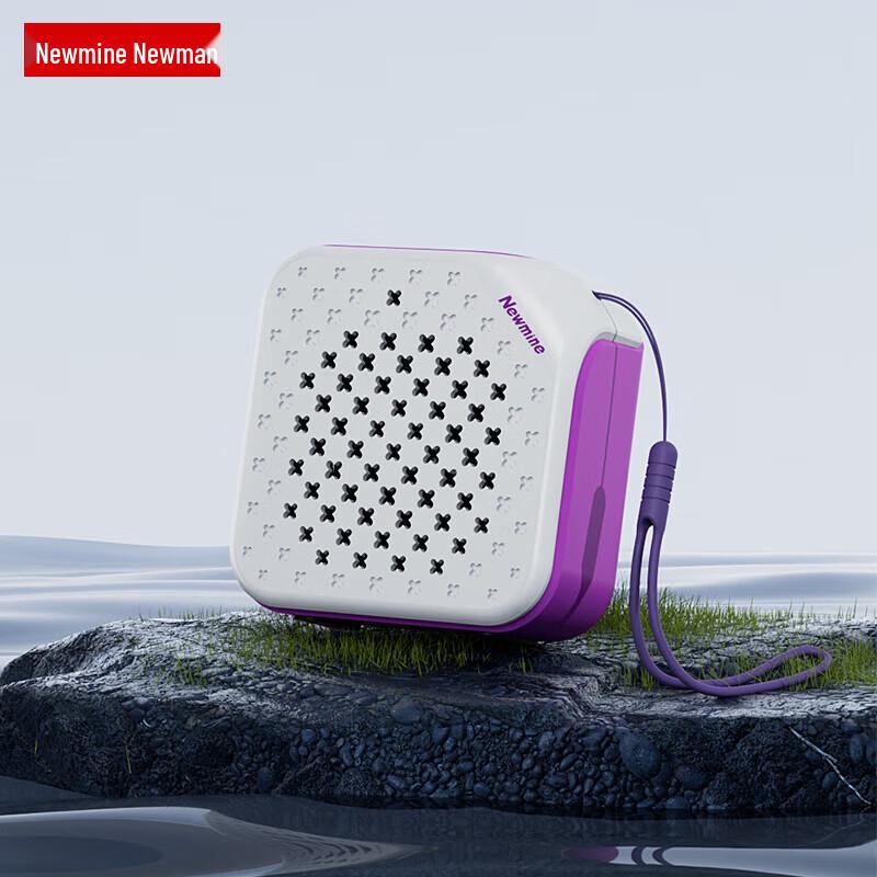 Newman TWS Bluetooth Portable Speaker PBS001-TWS CN plug (adapter included)