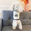 Haustier Hund Weste Jacke Wasserdichter Hundemantel Mit Kapuze Winter Haustier Hundekleidung