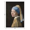 Girl with a Pearl Earring Throw Blanket Furry Soft Plush Plaid Thin funny gift Blankets