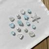 12 Pcs Cute Sea Shell Shoe Charms For Clogs Diy Slide Sandals Shoe Decor Pins Boys Girls Gifts