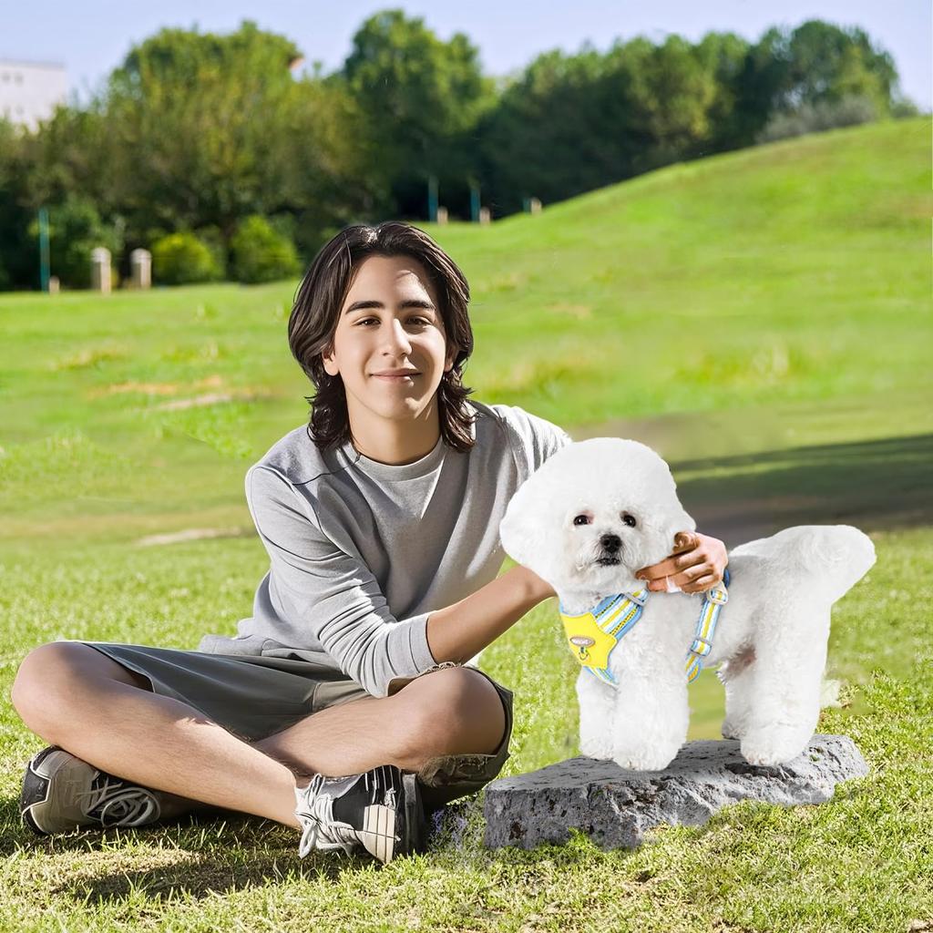 Costand Postroj pro psa Nejnovější postroj pro psa pro prodyšný lehký bezpečný snadné nasazování a sundávání šetrný k tělu snižuje kašel nastavitelná velikost