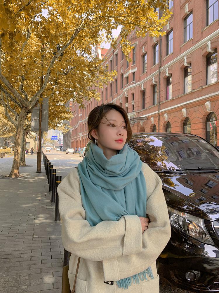 Solid Color Scarf Women's Winter Thickened Imitation Cashmere Scarf New Men's Shawl Wool Cashmere Scarf