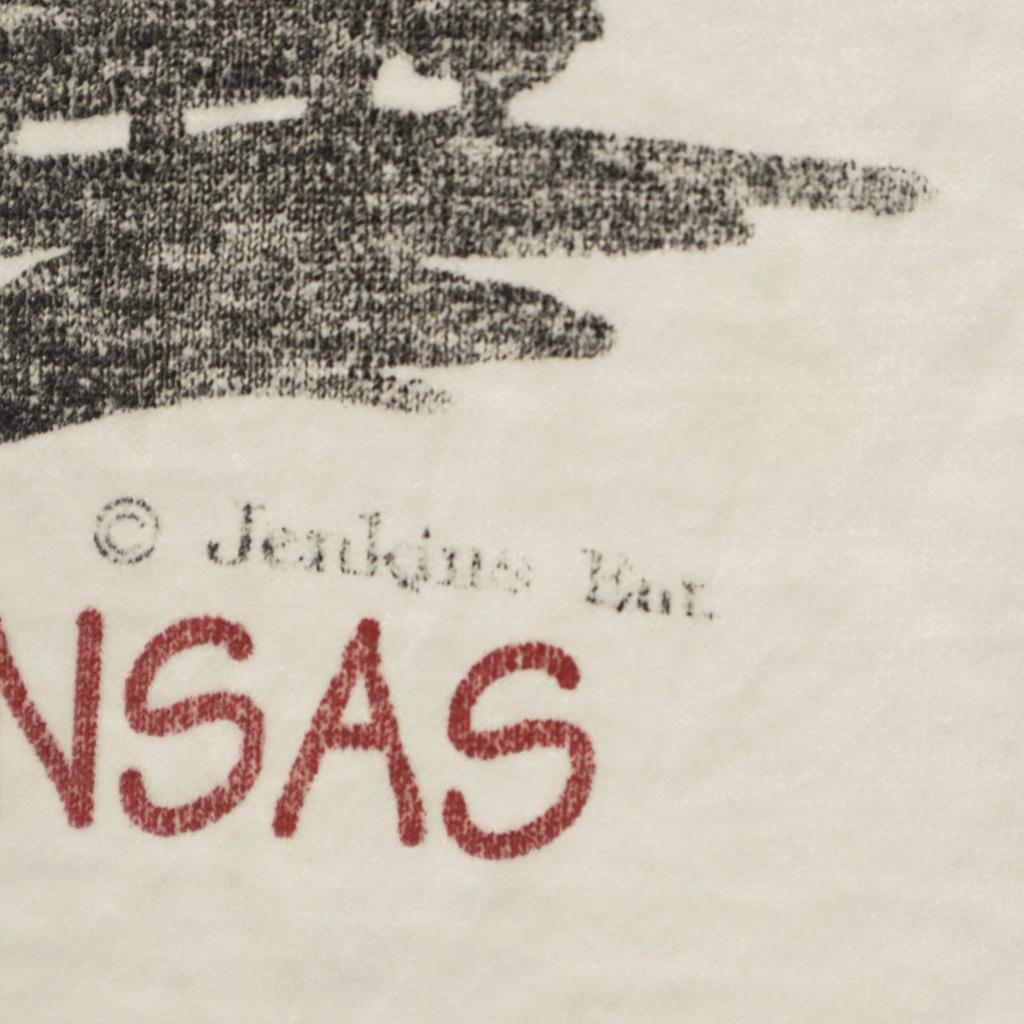 FRUIT OF THE LOOM 90s Made In USA Old Short Sleeve T-shirt Men's Used