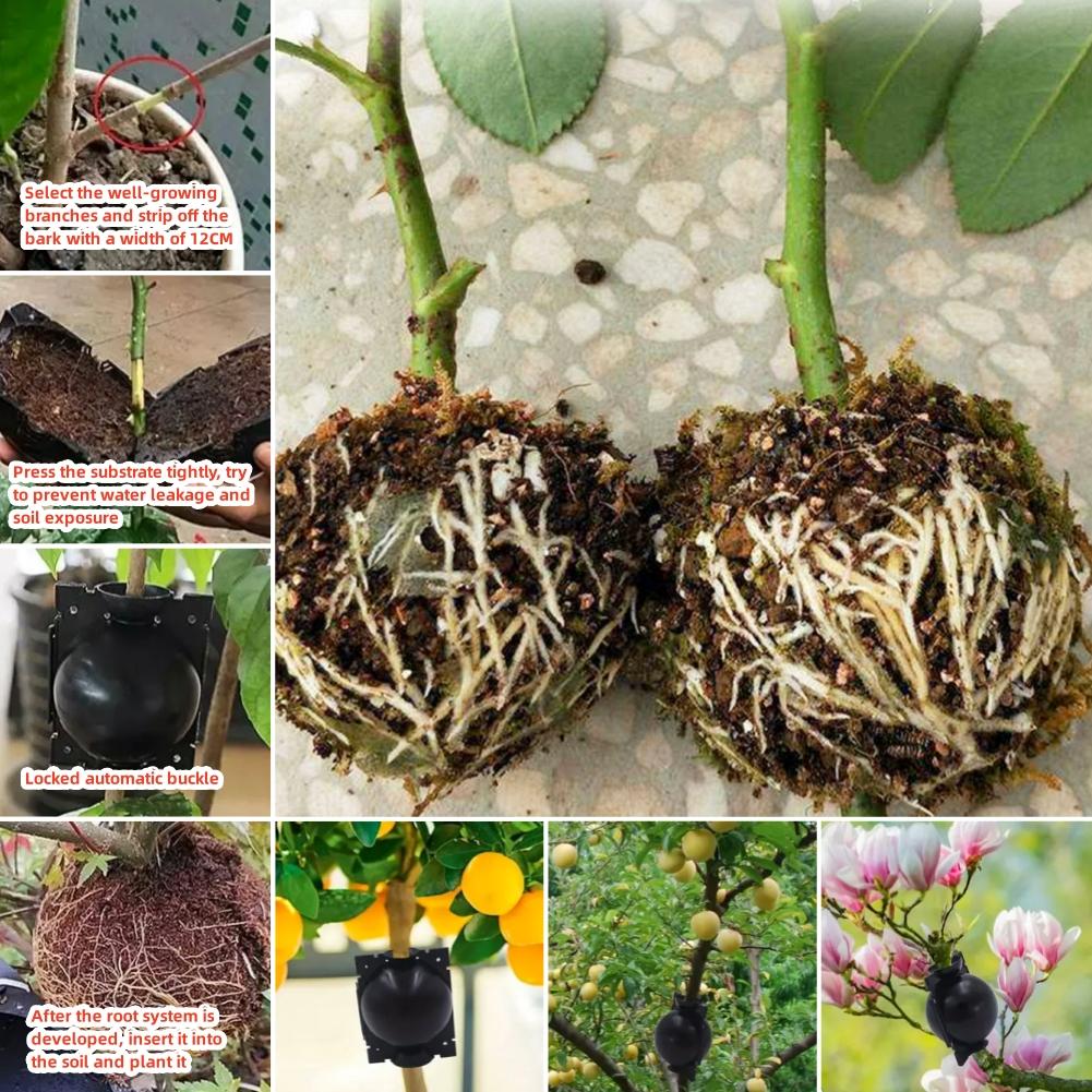 5/10PCS Plant Rooting Ball Reusable Root Growing Box Propagation Root Controller For Indoor Outdoor Plants Asexual Reproduction