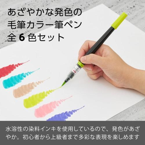Pentel Color Brush Pen Art Brush 6 Color Set XGFL-6ST