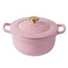 25cm Cast Iron Pots for Cooking Braised Cooking Pot Cookware Enamel Cast Iron Hotpot Kitchen Accessories Non Stick Pots and Pans
