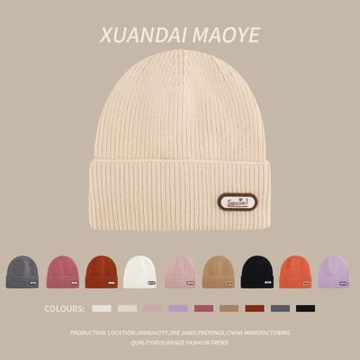 Herbst- und Wintermützen für Damen Plüsch Neue Koreanische Strickmützen Vielseitig Warm Ohrenschutz Verdickt Modisch Kälteschutz Einfarbige Buchstaben