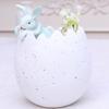 Cute Easters Bunnies and Eggshell Planter Funny Succulents Plant Flower Pots Indoor Bonsais Holder Container Decors