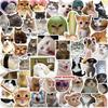 50 Internet Celebrity Cat Emoji Stickers: Waterproof, Perfect for Suitcases, Notebooks, Guitars, and More!