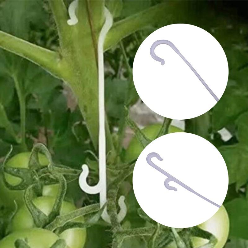 9.5/13/16cm Tomato Support J Shaped Ear Hook Clip Garden Vegetable Grape Vine Fastener Buckle Prevent Fruit Cluster Falling 50Pcs