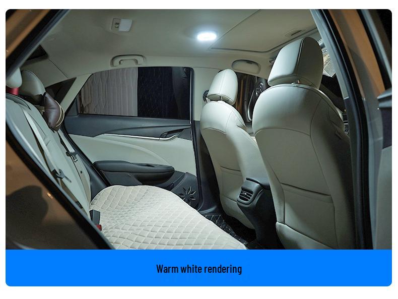 Car Interior LED Reading and Roof Light Set