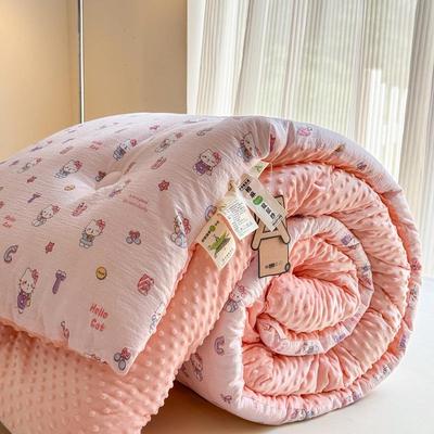 Class A Autumn & Winter Double-Layer Fleece Quilt: Warm, Double-Sided Bedding for All Seasons - Single/Double Size