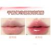 Xixi - Chestnut Obsession Jelly Lip Gloss - 6 Colors