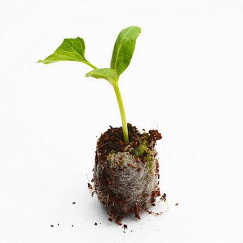 Seed Starter Soil Plugs Plant Fiber Nursery Blocks Peat Soil Pellets