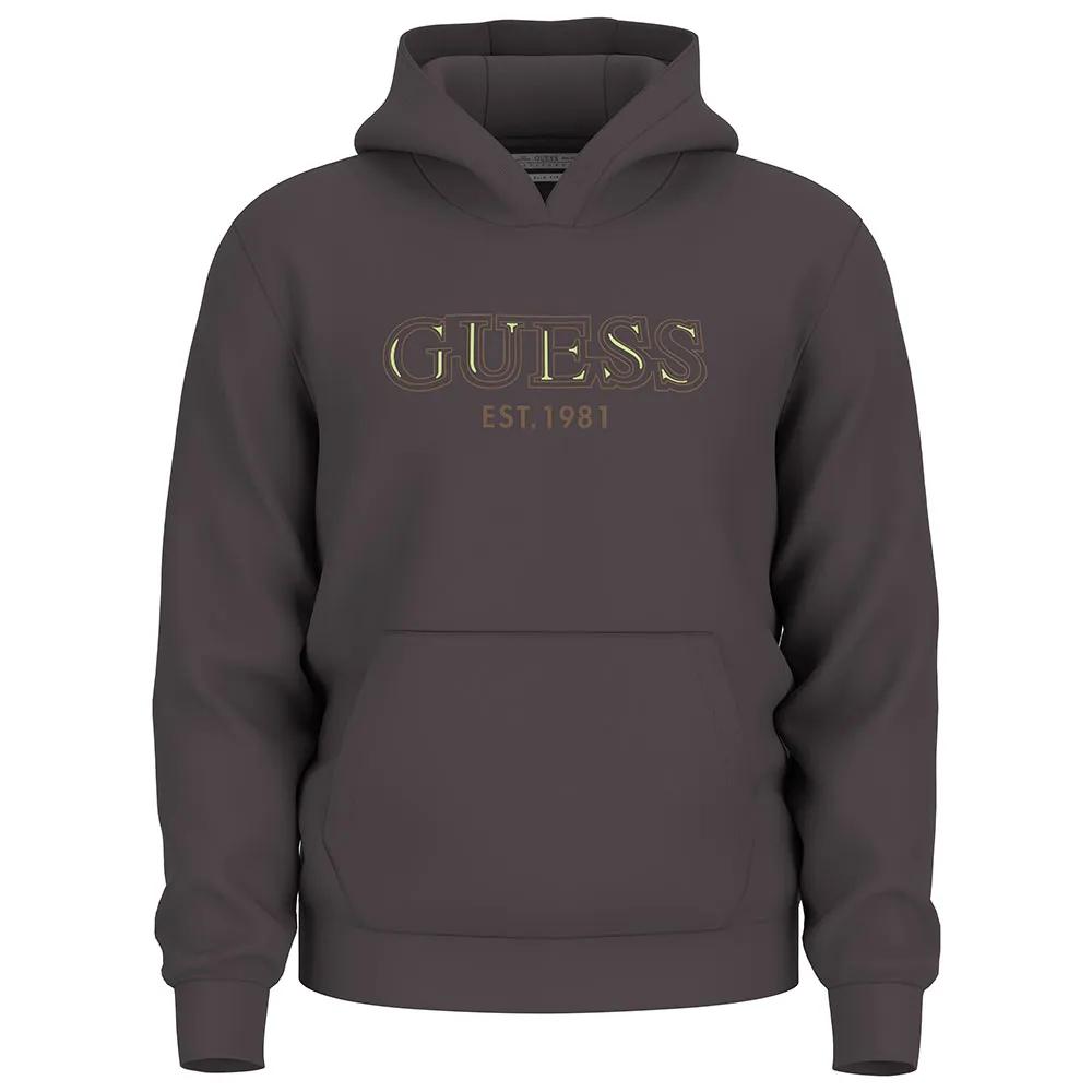 

Guess Толстовка с капюшоном Basic S