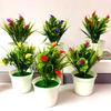 Potted  5PCS Small Calla Lily Flowers Home Room Decoration