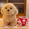 New baby children's sports teddy dog doll plush toy teddy dog doll birthday gift