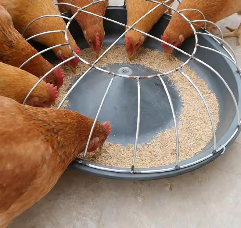 Farm Multi-Hole Feeding Trough for Chickens, Ducks, and Geese - 50cm/60cm Durable Food Basin