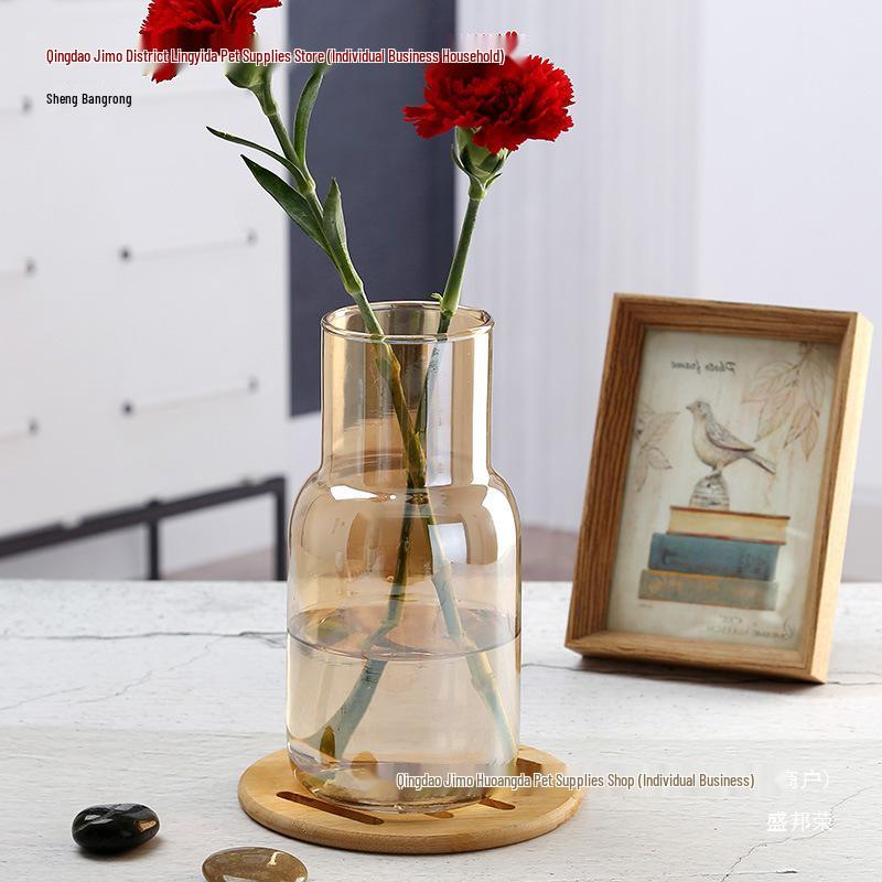 Transparent Minimalist Glass Vase for Office Decoration with Fresh or Dried Flowers