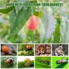 2026 New Fruit Protection Netting Bags Anti-Bird Mesh Cover Plant Grow Bags for Strawberry Grape Vegetable Garden Tools