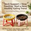 With Stand Slow-Feeding Bowl Bite-resistant Anti-Overturning Bowl Pet Food Bowl  Pet Supplies