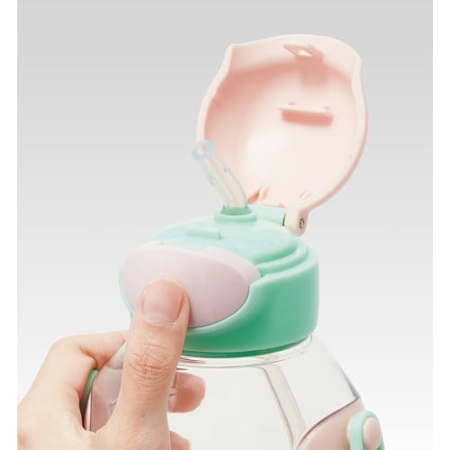 Skater Water Bottle with Straw 530ml Disney Princess 23 Straw Water Bottle One Push for Children Girls PDSH6DX-A