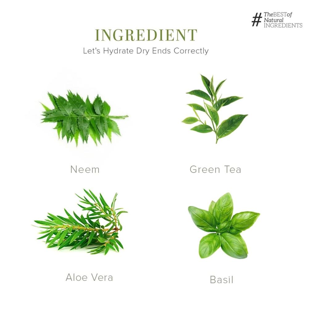 Khadi Natural Neem Tea Tree Basil Hair Oil Non Greasy Formula For Hair Growth And Scalp Care 210 ml