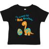 Parte superior (Meninos a partir de 4 anos) – T-Shirts