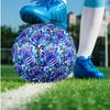 Real Sociedad FC Größe 5 Standard Fußball Langlebiger Trainingsspiel Fußball für Erwachsene Outdoor-Sportarten