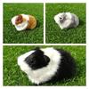 Realistic Animal Model Toy For Kids Tiny Furry Hamster, Guinea Pig And More!