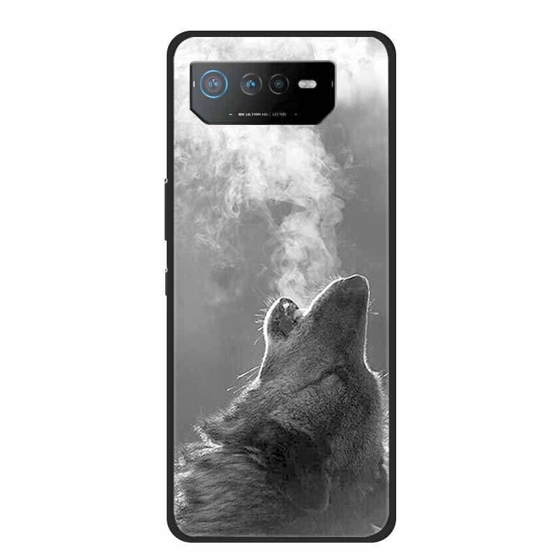 Für Asus ROG Phone 6 Pro Hülle Phone6 Pro Coque Schwarzes TPU Silikon Weiche Rückabdeckung Hülle Für Asus ROG Phone 6D Ultimate Handyhülle