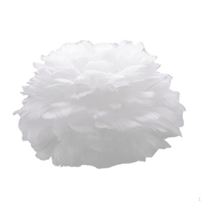 Feather Hanging Light Fixture for Sophisticated Home Decor