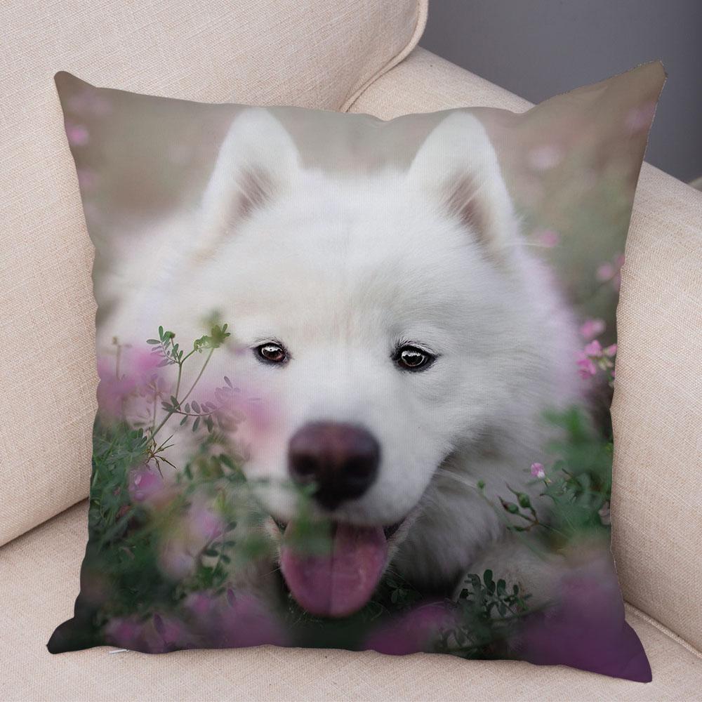 50 Stil Husă de Pernă Câine Alb Drăguț Samoyed Decor Husă de Pernă Animal de Companie Iubitor Husă de Pernă Moale de Pluș pentru Canapé Cameră Copii