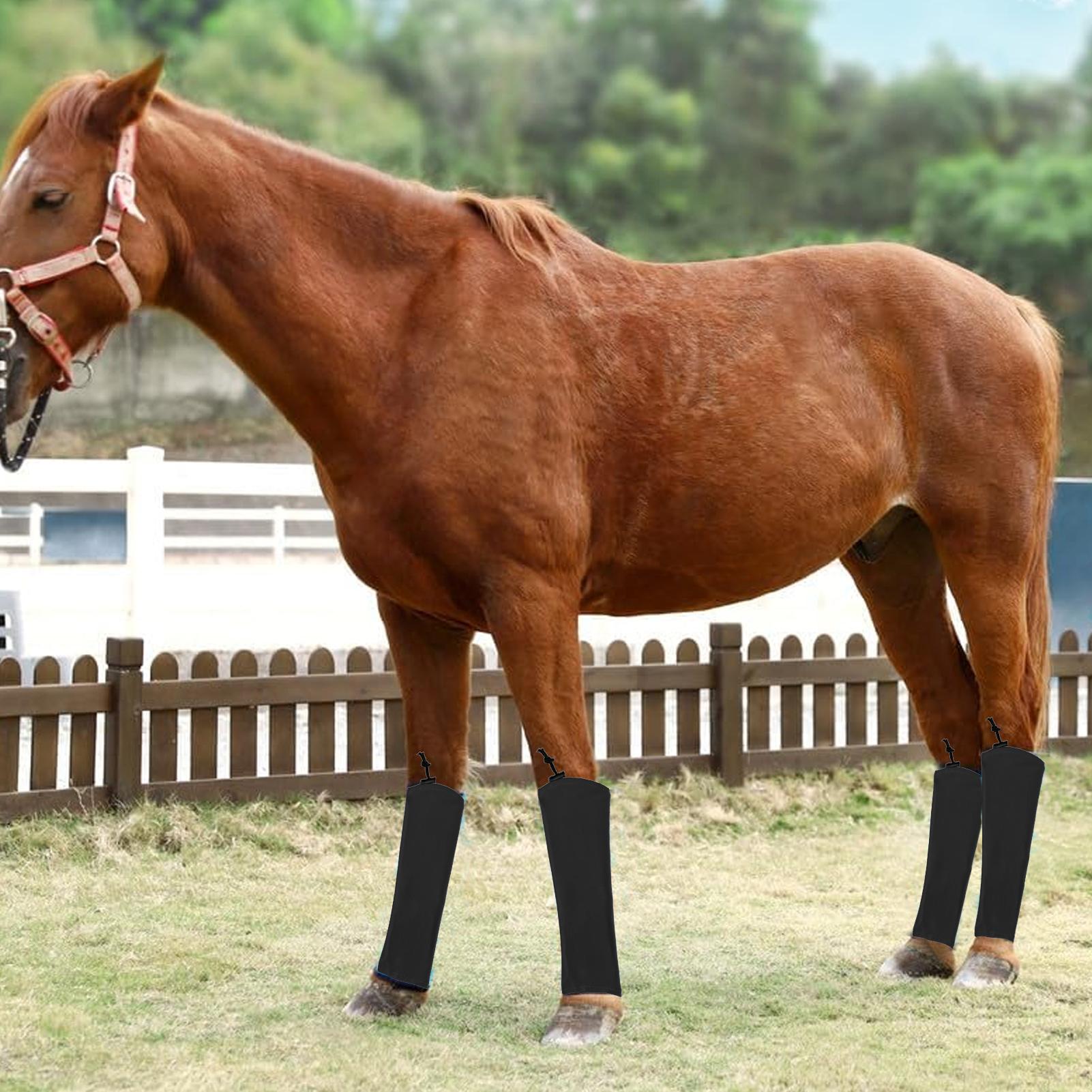 Calze anti-mosche per cavalli Leggings equini traspiranti Stivali anti-mosche regolabili per cavalli per paddock, scuderia, corse, competizioni di sal