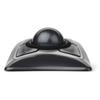Kensington year warranty 64325A [Genuine product/5 included] ExpertMouse(OpticalBlack)