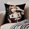 Singer LLisa Cushion Cover Pillowcase Antidustmite Invisible Zipper Short Plush Sofa Cushion
