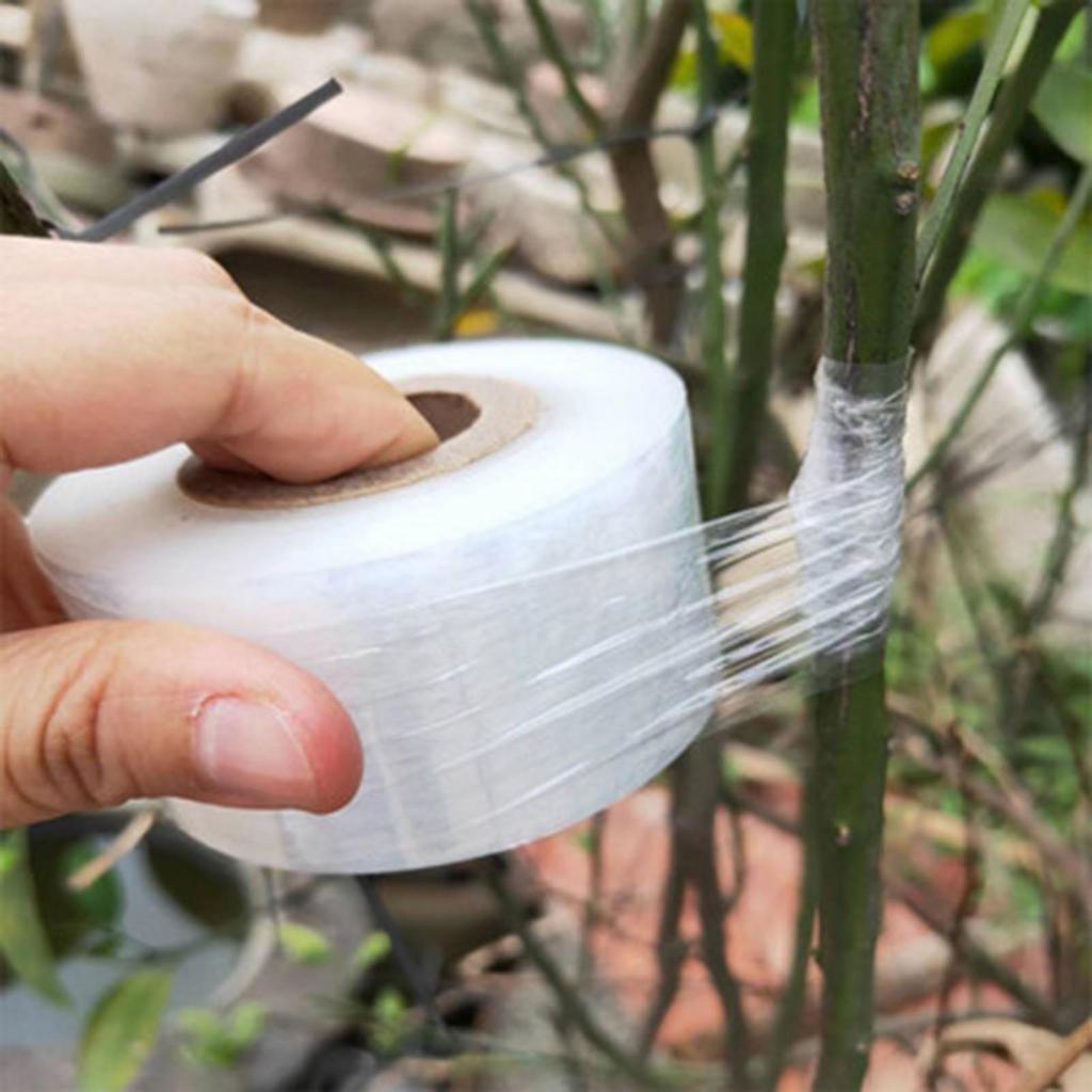 200m PE Grafting Tape Film Self-adhesive for Fruit Tree Nursery Plants Seedlings Vine Floristry Tomato Grafting Supplies Stretch