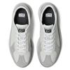 ONITSUKA TIGER Delecity Glacier Grey Pure Silver