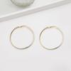 Personality Exaggerated Matte Large Circle Earrings Fashion Creative Trend Round Earrings Ear Buckles