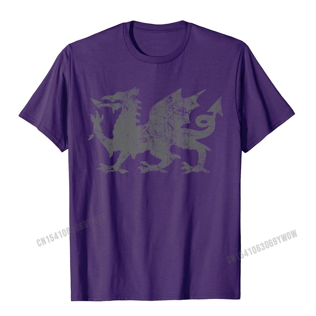 Welsh Flag Heraldry Dragon Welsh Soccer St Davids Day Wales TShirt Camisas Unisex 3D Printed Top TShirts For Adult Tops Tees