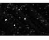 High-End Velvet Sequin Slimming Square Neck Dress