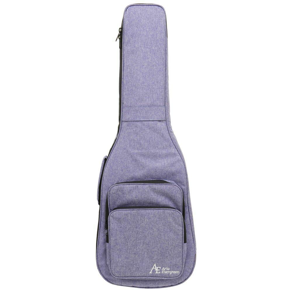 ARIA ProII LV Electric Guitar 714-AE200