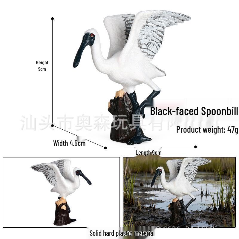 Hummingbird Science Education Simulation Model: Wildlife Desktop Ornament