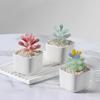 Glazed Succulents Potted Plants Artificial Succulents Mini Maintenance-Free